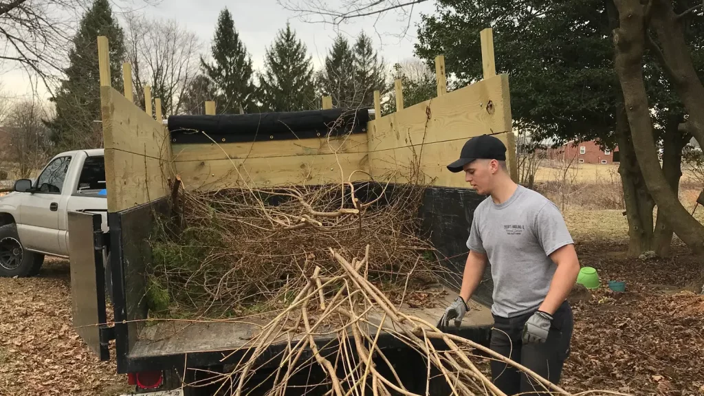 landscaping debris removal